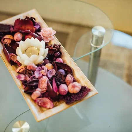 Christa Case de vacanță