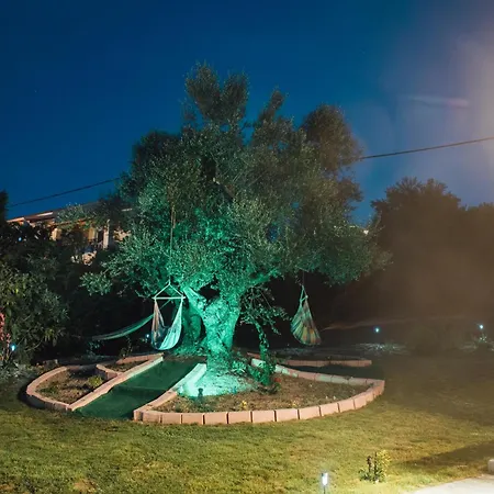 Case de vacanță Christa