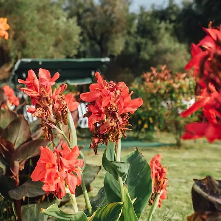 Christa Case de vacanță Arillas (Corfu)