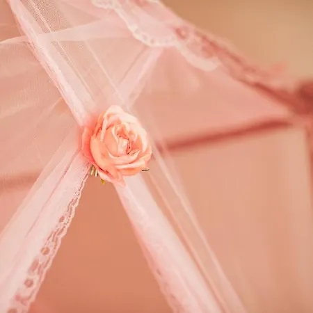 Christa * 阿里拉斯