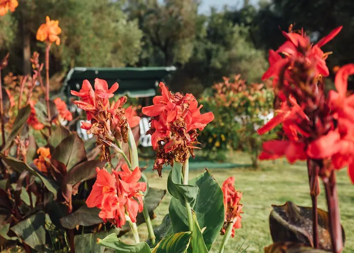 Christa Σπίτι διακοπών Αρίλλας