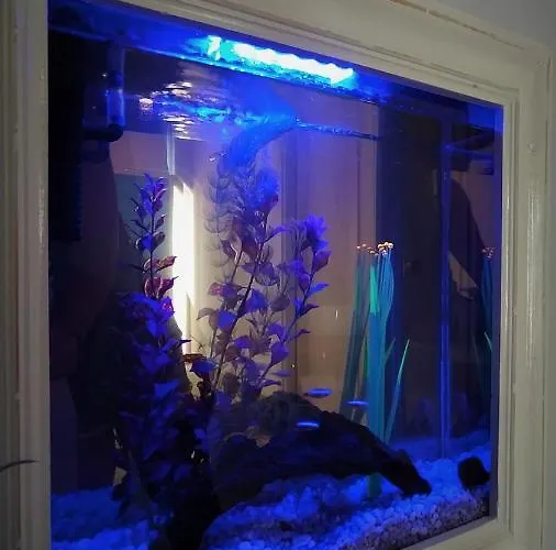 Feriehus Christa Arillas (Corfu)